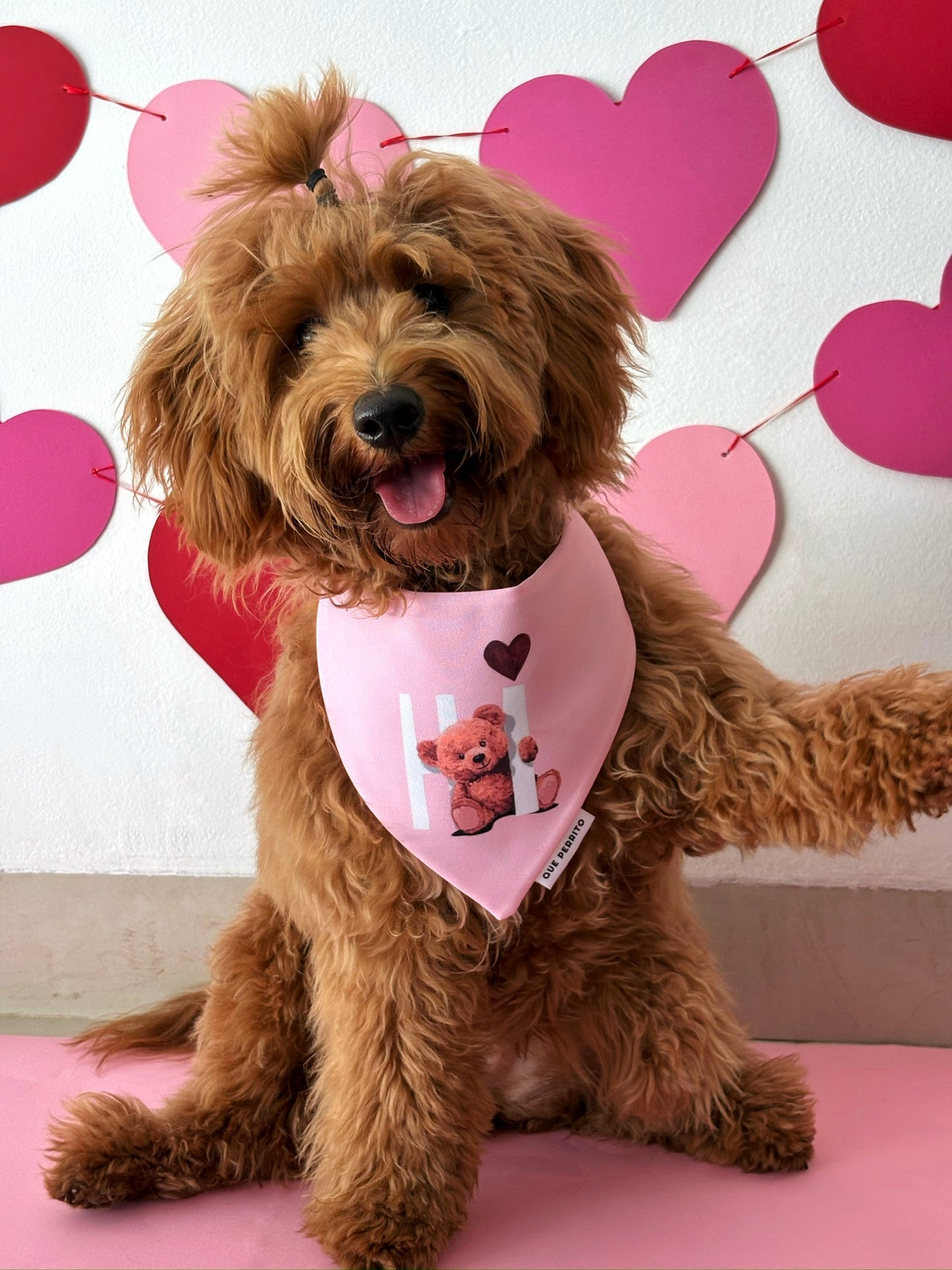 Bandana Hi Bear Pink - Colección LOVE