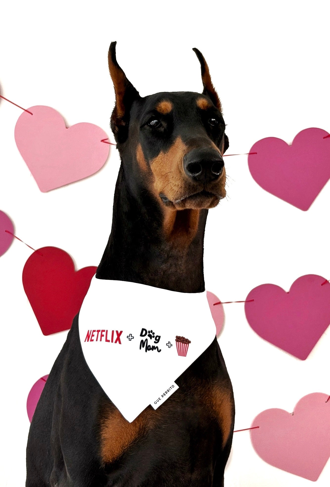 Bandana Netflix & Chill - Colección BASICS